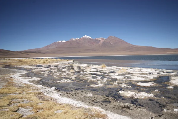 Landscape with lagoon close to salt desert in Bolivia.