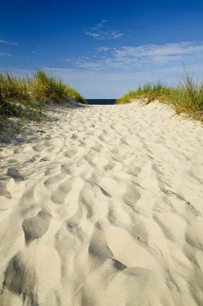 Sand path to beach