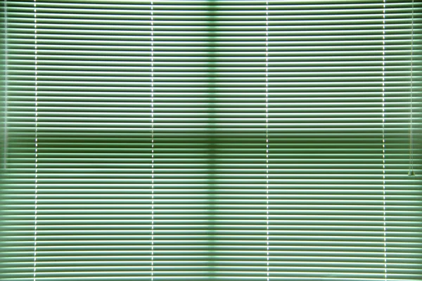 Green window blinds