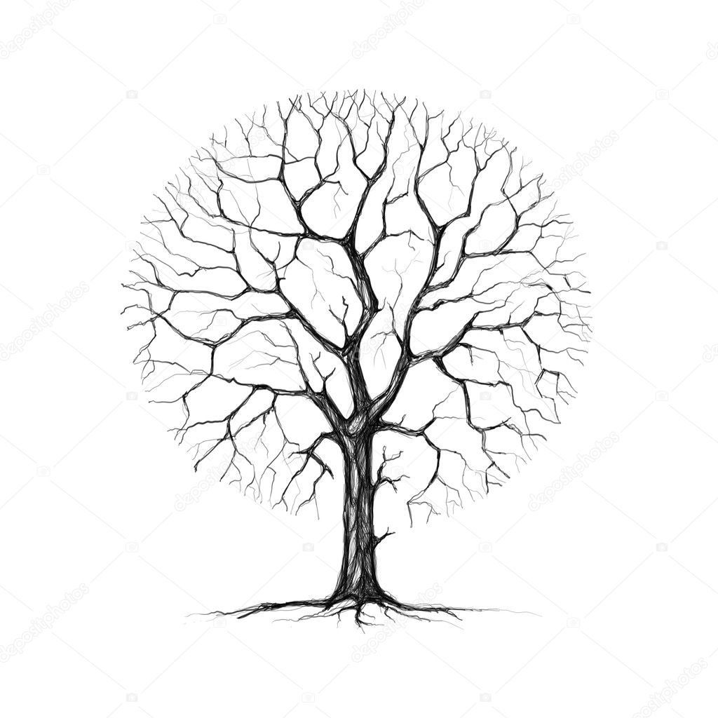 Winter Tree Drawing