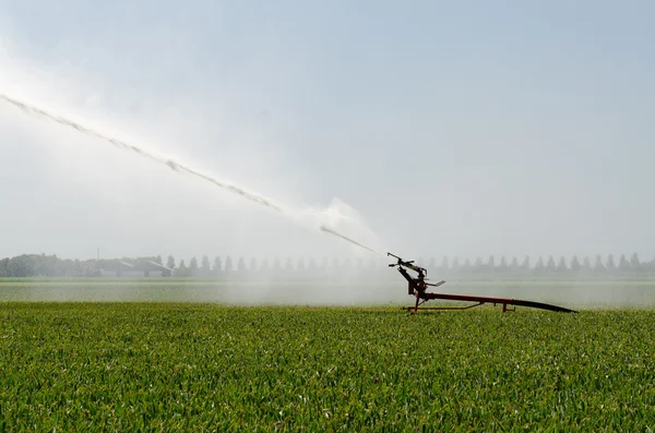 Irrigation on a field