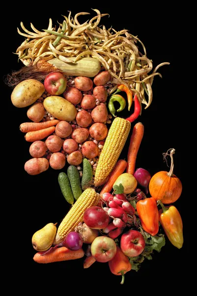 Eatable portrait composed of fruits and vegetables in Giuseppe Arcimboldo style on black background