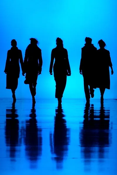 Women&#039;s fashion silhouettes