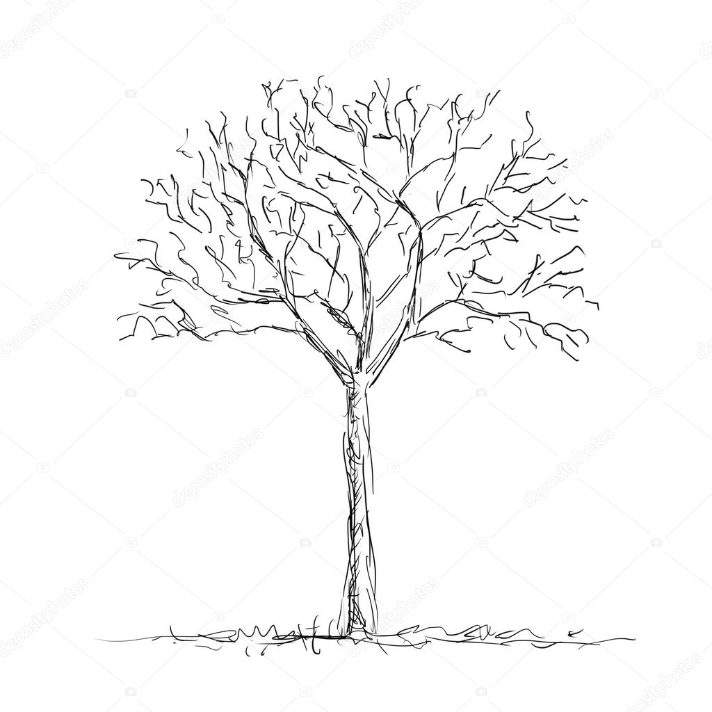 Tree Bare