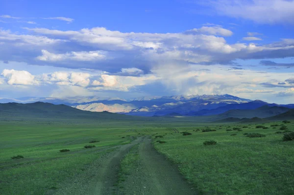 Mongol road to mountain — Stock Photo #11636167