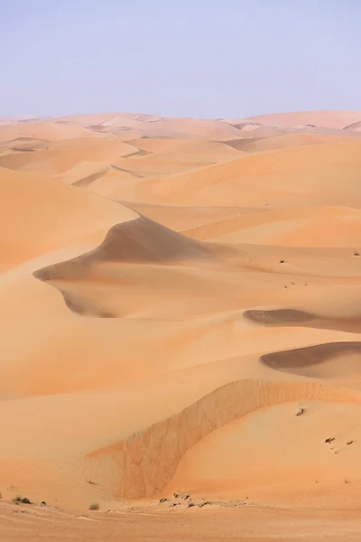 Lines of Dunes