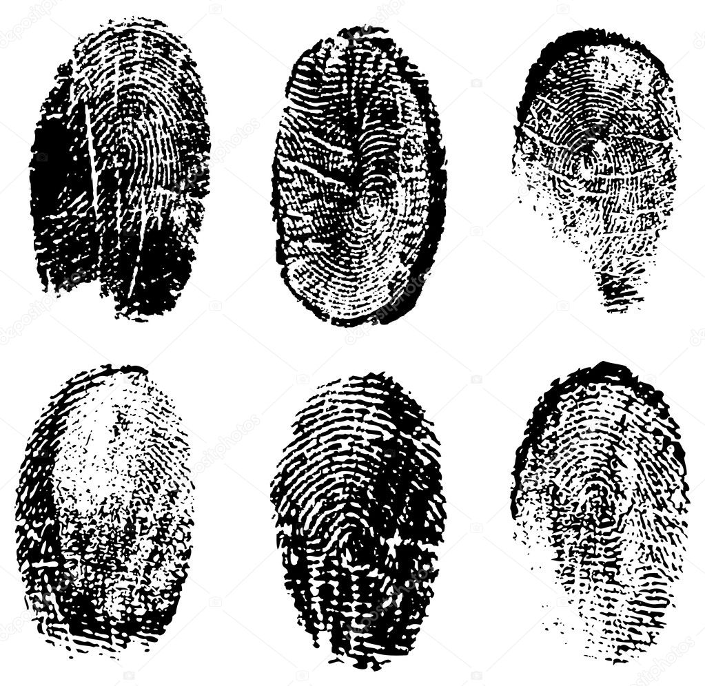 the different fingerprints