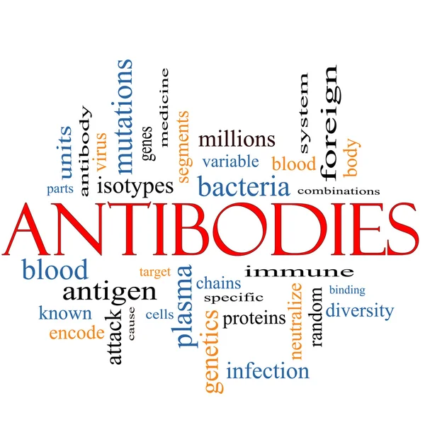 Antibodies Word Cloud Concept