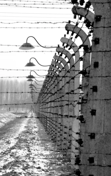 Old style photo of Auschwitz camp, electric fence