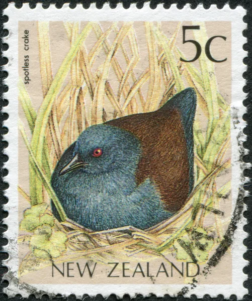 NEW ZEALAND - CIRCA 1991: Postage stamps printed in New Zealand, shows the Spotless Crake (Porzana tabuensis), circa 1991