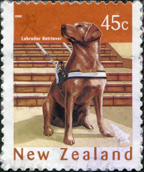 NEW ZEALAND - CIRCA 2006: Postage stamps printed in New Zealand, is dedicated to New Year 2006 (Year of the Dog), shows a Labrador retriever, circa 2006