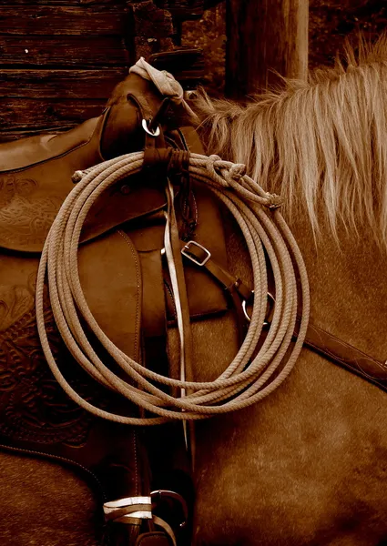 A lasso hanging on a western saddle