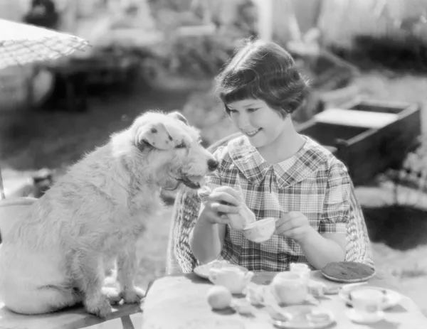 Girl and her dog having a picnic