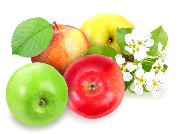 Högen av färska brokiga äpplen — Stockfoto