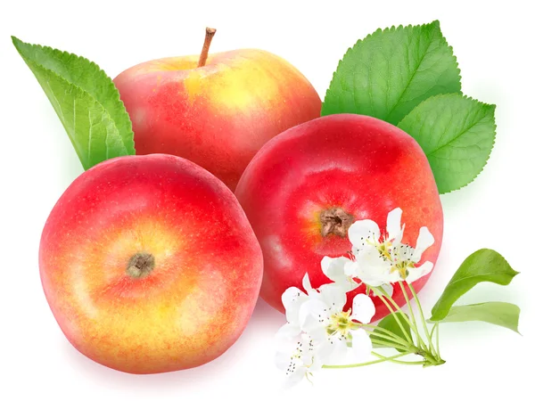 Красные яблоки с зеленым листом и цветами — стоковое фото