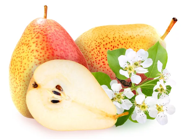 Pears with green leaf and flowers — Stock Photo, Image