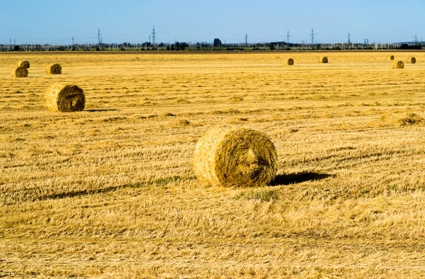 Farm field with hay bales — Stock Photo, Image