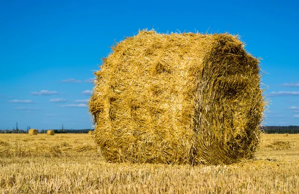 Сельскохозяйственное поле с тюками сена — стоковое фото