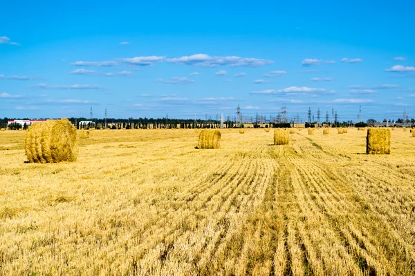 Gårdsfält med höbalar — Stockfoto