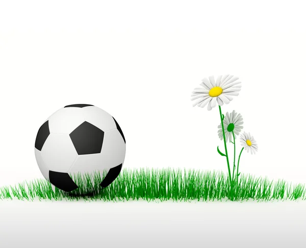 Football dans l'herbe — Photo