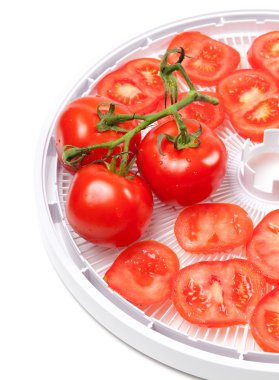 Fresh tomato on food dehydrator tray clipart