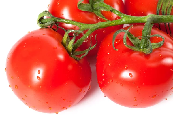 Bunch of fresh tomatoes with water drops — Stock Photo, Image