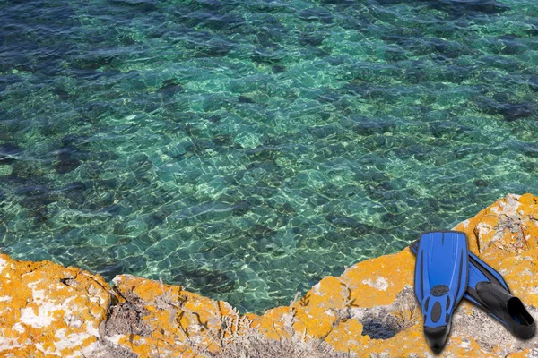 Aletas azules en el acantilado del mar —  Fotos de Stock