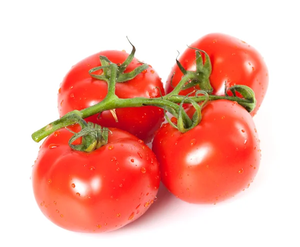 Manojo de tomates frescos con gotas de agua — Foto de Stock