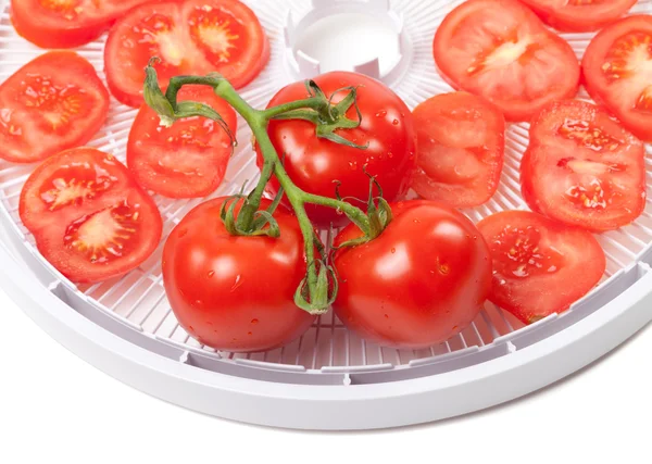 stock image Fresh tomato on food dehydrator tray