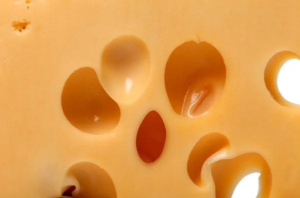 Stück Käse-Detailansicht — Stockfoto