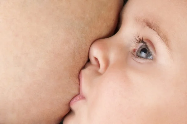 stock image Breastfeeding baby close-up