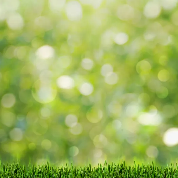 Green grass over abstract summer backgrounds with beauty bokeh — Stock Photo, Image