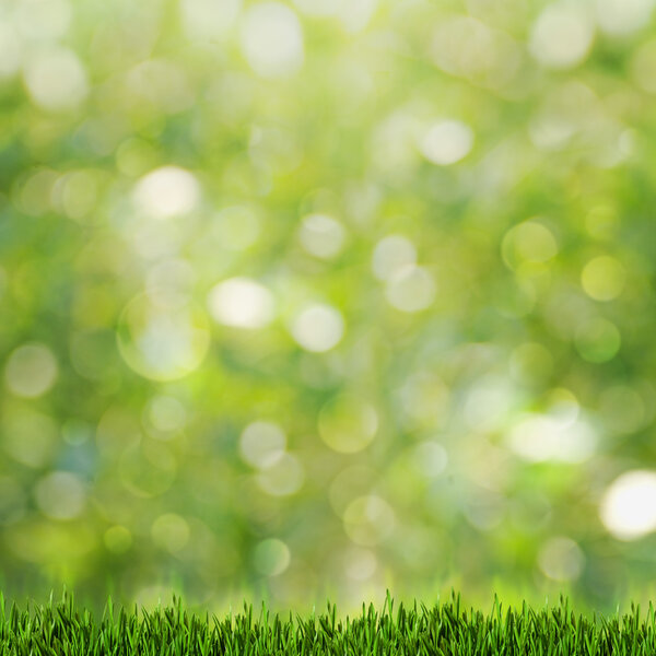 Зеленая трава на абстрактных летних фоне с красотой bokeh
