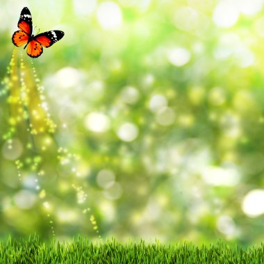 Abstract summer backgrounds with beauty butterfly clipart