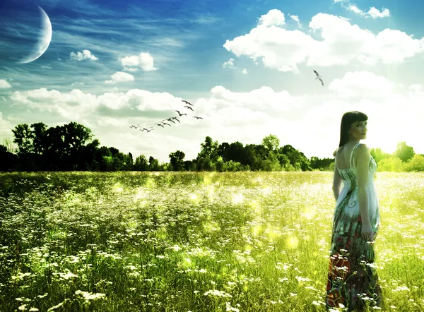 Hora de verano en el prado. Retrato femenino abstracto — Foto de Stock
