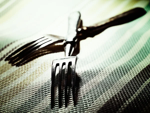 Pair. Abstract kitchen still life with two fork — Stock Photo, Image
