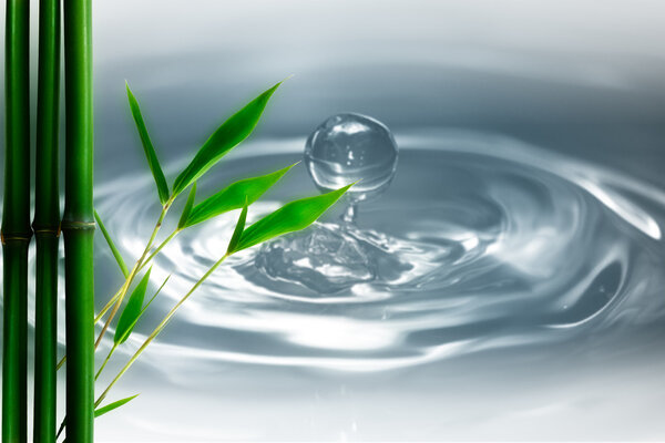 Капли воды и бамбук. естественное происхождение
