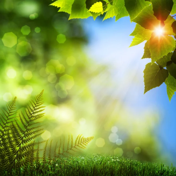 Summer natural backgrounds with beauty bokeh — Stock Photo, Image