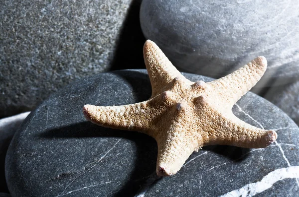 Tengeri csillag. Nyári absztrakt hátterek csillag hal és kavicsos — Stock Fotó