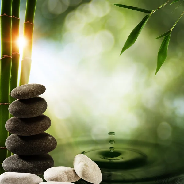 Oriental eco backgrounds with bamboo and water splash — Stock Photo, Image