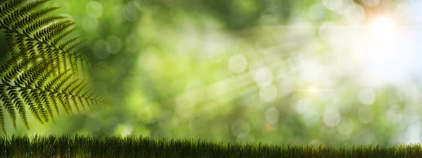 Абстрактный естественный фон с Мбаппе и солнечными дождями — стоковое фото