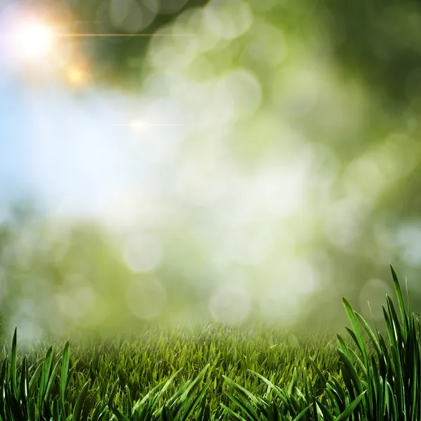 Pozadí abstraktní letní zelené trávy a Sluneční paprsek — Stock fotografie
