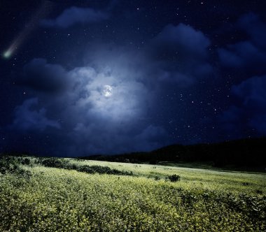 Nightly meadow. clipart