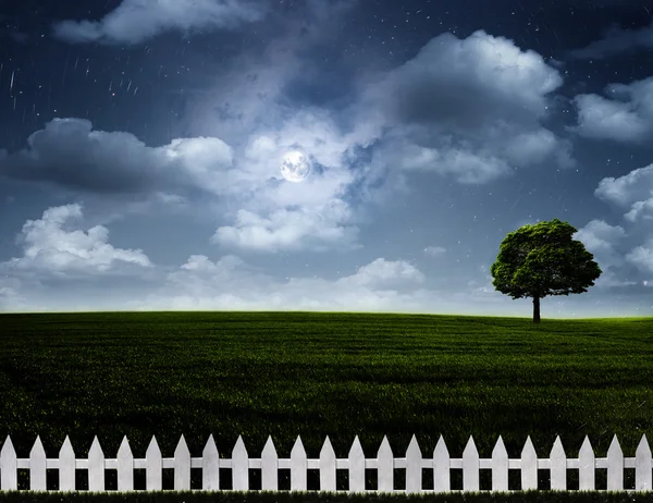 夜間の草原. — ストック写真