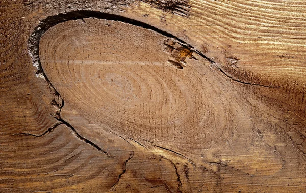 Drewno — Zdjęcie stockowe