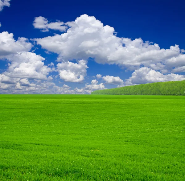 A nature backgrounds on the sky backgrounds — Stock Photo, Image
