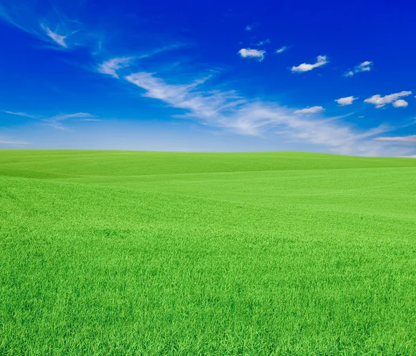 Wallpaper grass Stock Photos, Royalty Free Wallpaper grass Images ...