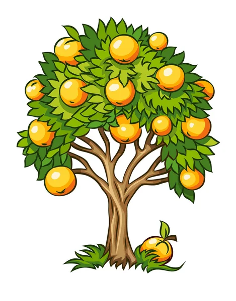 分離した果物の木 — ストックベクタ