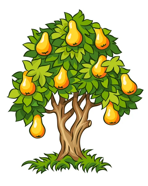 Birnbaum mit reifen Früchten — Stockvektor
