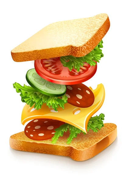 Geëxplodeerde weergave van sandwich ingrediënten — Stockvector